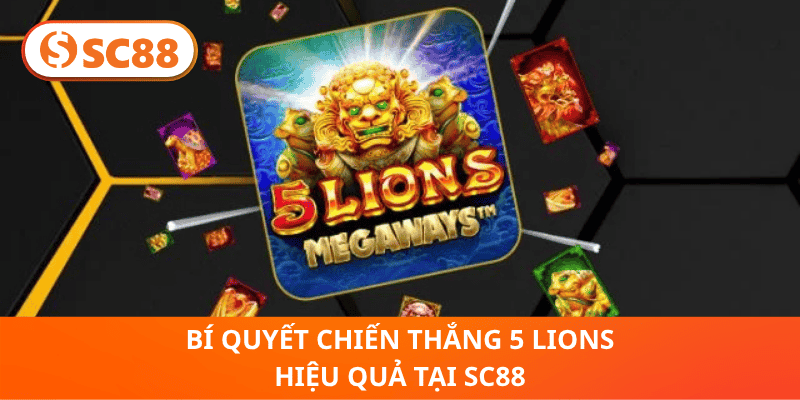 5 Lions SC88 – Trải Nghiệm Slot Sư Tử May Mắn Đỉnh Cao 2026