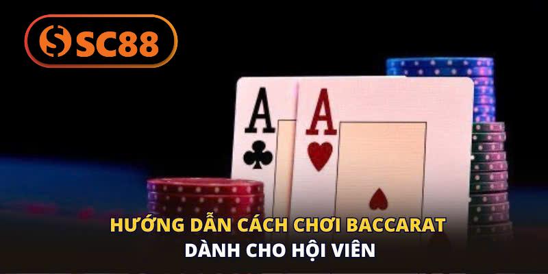 Cách Chơi Baccarat SC88 -Hướng Dẫn Từng Bước Chuẩn Nhất 2026