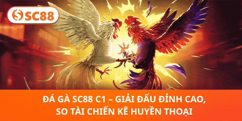 Đá Gà SC88 C1–Giải Đấu Đỉnh Cao, So Tài Chiến Kê Huyền Thoại
