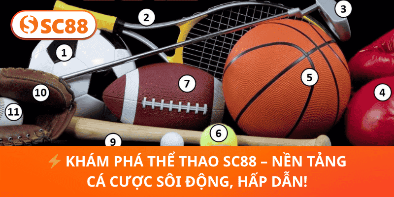 Thể Thao SC88 – Cá Cược Sôi Nổi, Đa Dạng Môn Thể Thao