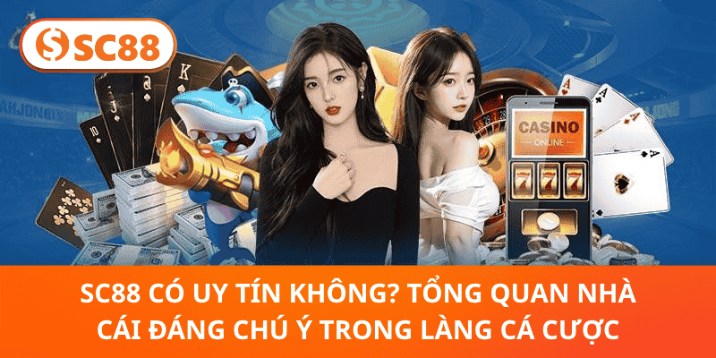 SC88 Có Uy Tín Không?Khám Phá Đánh Giá Chi Tiết & Độ Tin Cậy
