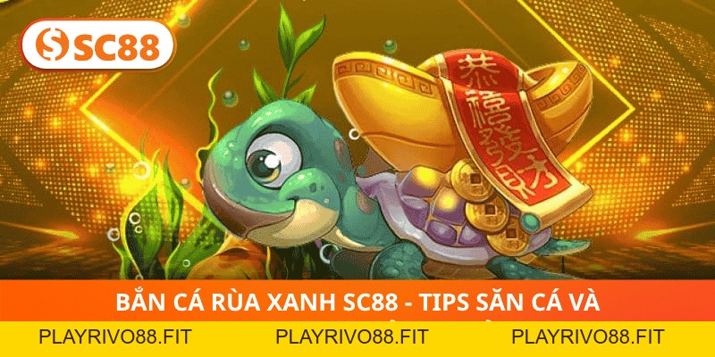 Bắn Cá Rùa Xanh SC88 - Tips Săn Cá Và Thu Hoạch Thưởng Khủng